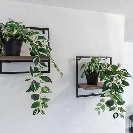 דירה La Casa Du Clapas - Bright, Fully Equipped מונפלייה