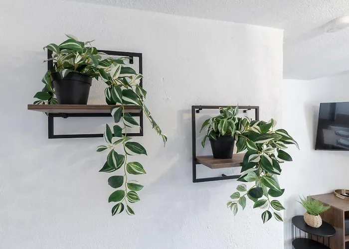 דירה La Casa Du Clapas - Bright, Fully Equipped מונפלייה